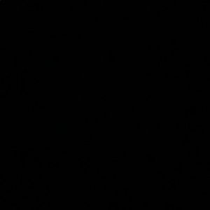 Meet your Posher, Lexie